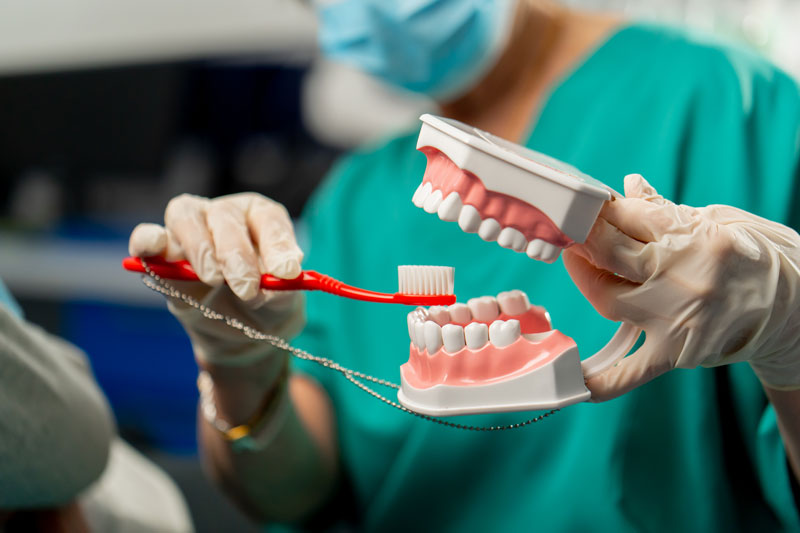 Miami Beach Dentist Teeth and Gums