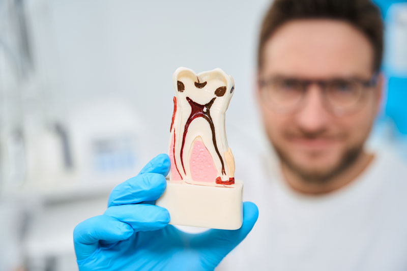 Miami Beach Dentist Oral Microbiome